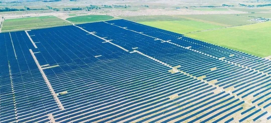 1691457086608606.jpg 1.jpg